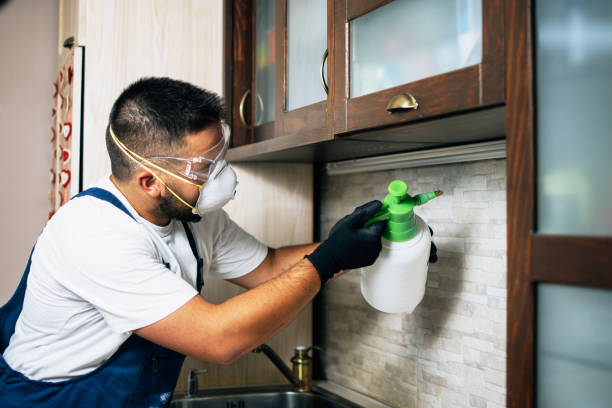 Best Best Pest Control Companies  in Apple Valley, UT