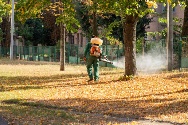 Best Wasp Removal Services  in Apple Valley, UT